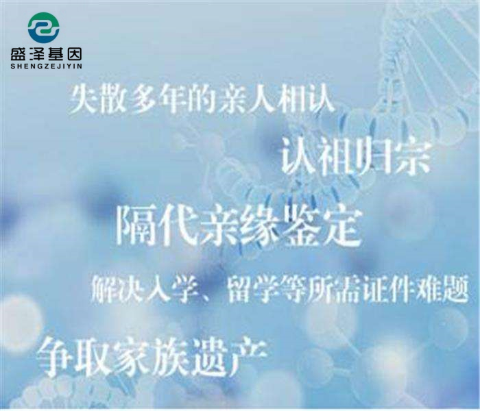 爺爺和孫子做親緣鑒定，揭露兒子去世后掩埋的真相...