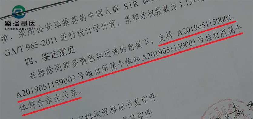 DNA親子鑒定報(bào)告究竟長(zhǎng)啥樣？怎么看？