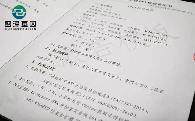 鑒定人如何看懂親子鑒定報(bào)告書上的基因分型數(shù)據(jù)和結(jié)論？