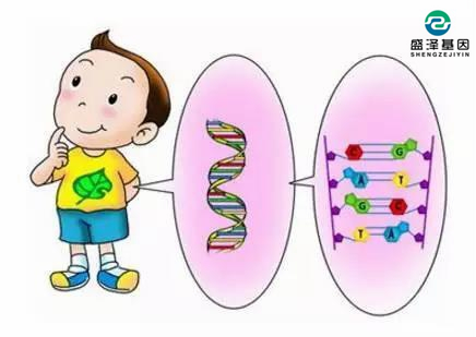 父子DNA鑒定配比率多少孩子才是親生？3