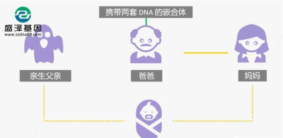 醫學怪病奇美拉現象：親自生未必是親生？你身體還住著另一個人？