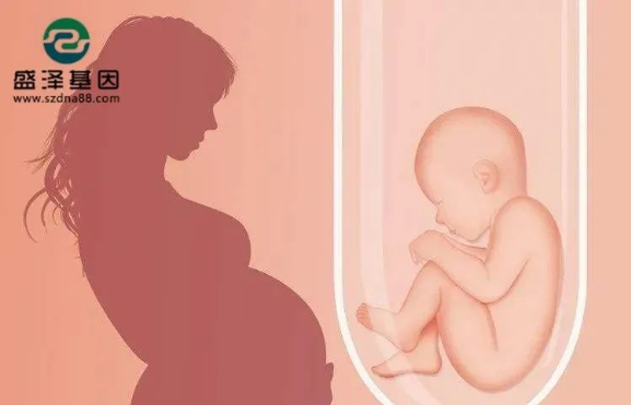 醫學怪病奇美拉現象：親自生未必是親生？你身體還住著另一個人？