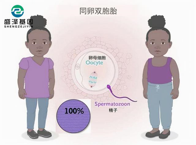 廣東男子做親子鑒定，竟發現自家雙胞胎有一個不是自己的？！
