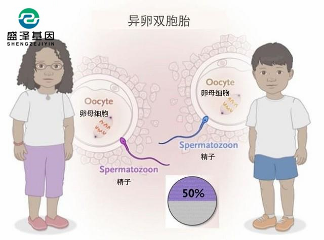 廣東男子做親子鑒定，竟發現自家雙胞胎有一個不是自己的？！