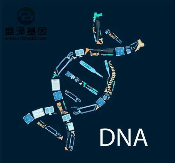 醫學怪病奇美拉現象：親自生未必是親生？你身體還住著另一個人？