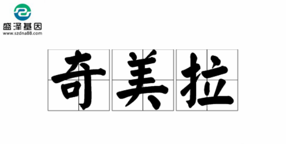 醫學怪病奇美拉現象：親自生未必是親生？你身體還住著另一個人？