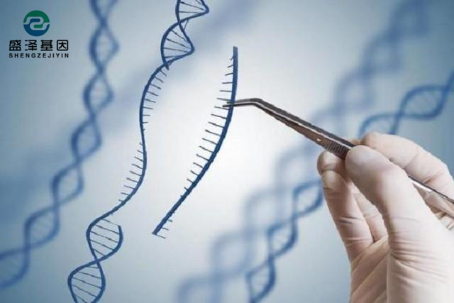 廣東男子做親子鑒定，竟發現自家雙胞胎有一個不是自己的？！