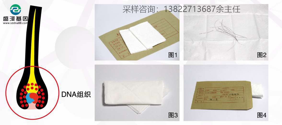 個人親子鑒定簡單采樣方法指導（血痕、口腔拭子、毛發）