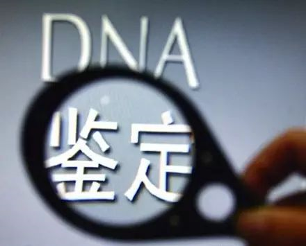 司法親子鑒定報告怎么做？需要采集什么樣本？