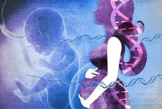 孕婦懷孕幾個(gè)月可以做dna親子鑒定？對(duì)胎兒有傷害嗎？