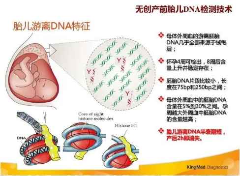 孕期做胎兒親子鑒定合適嗎？孕期有哪些胎兒親子鑒定方法？