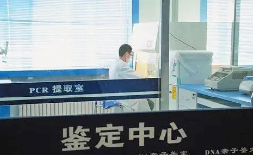 親子鑒定證明非婚生子法院會判決離婚嗎？可以要求過錯方賠償嗎？