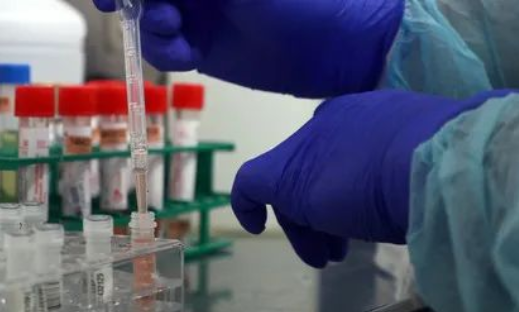 除了血液人的唾液能做親子鑒定嗎？能親子鑒定人的遺傳病史嗎？