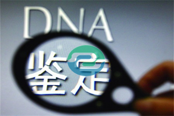 中山DNA 親子鑒定可以在哪里進行？