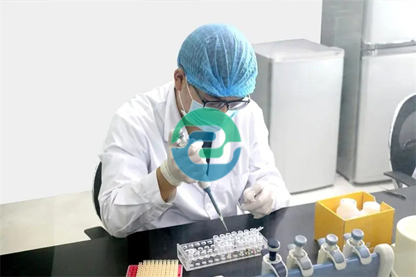 如何選擇中山親子鑒定中心？保證鑒定結果可靠性的三個要點